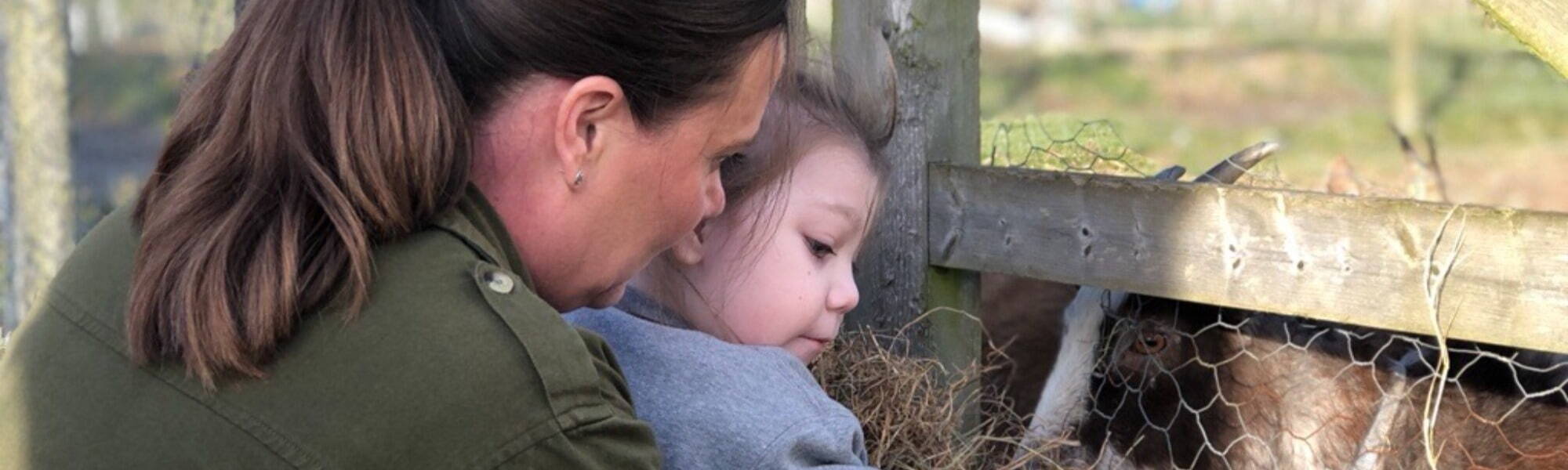 Banner Default Image